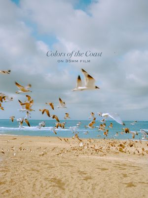 Image post by @alexkittoephotos on Instagram