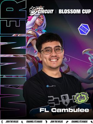 Image post by @CompeteTFT on Twitter/X