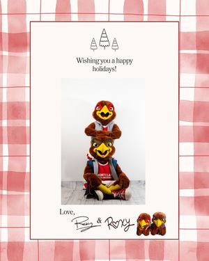 Image post by @rockyredhawk on Instagram