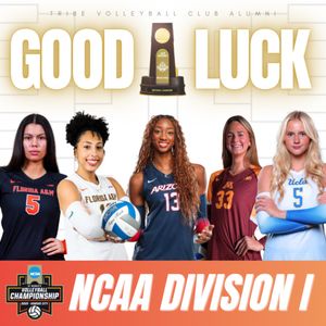 Image post by @mytribevolleyball on Instagram