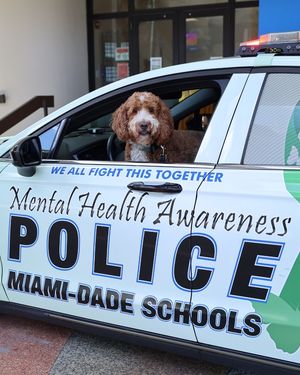 Image post by @miamischools on Facebook
