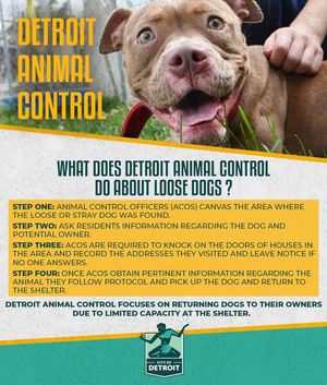 Image post by @DetroitParksRec on Facebook