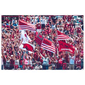Image post by @razorbackbsb on Instagram