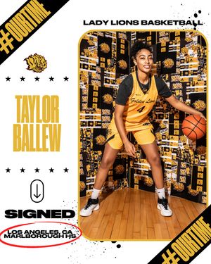 Image post by @uapblionswbb on Instagram