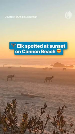 Video post by @theoregonian on Instagram