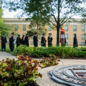 Image post by @bgsubiz on Instagram