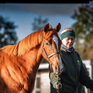 Image post by @juddmonte on Instagram