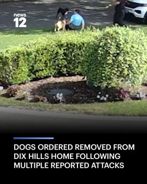 Image post by @news12li on Instagram