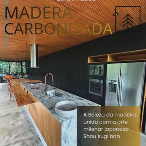 Image post by @madeiracarbonizadapainelripado on Instagram