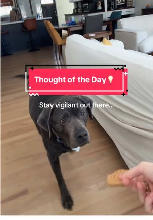 Video post by @hayleylewis_sports on TikTok