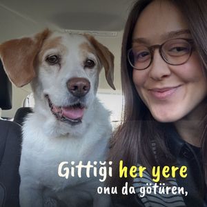 Image post by @destinasaccilarli on Instagram