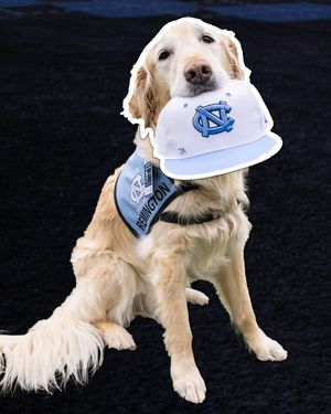 Image post by @goheels on Instagram