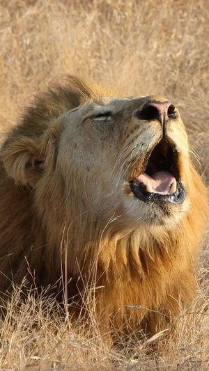 Video post by @bbcearth on Instagram