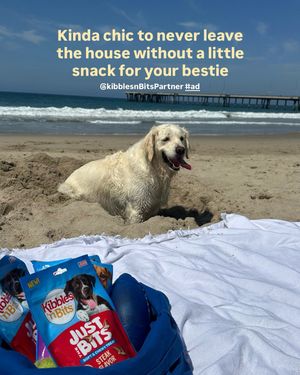 Image post by @goldenchilaquil on Instagram