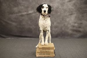 Image post by @nikki.ondrejka on Instagram