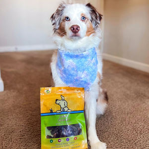 Image post by @honeyimhome on Instagram