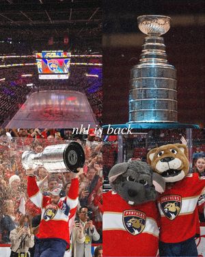 Image post by @sportsgirlsclub on Instagram