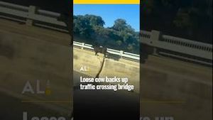 Video post by @aldotcom on YouTube