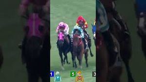 Video post by @worldhorseracing on YouTube