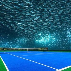 Image post by @usta on Instagram
