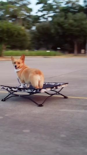 Video post by @aircorg on Instagram