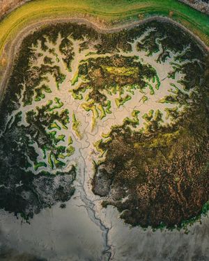 Image post by @droneartgallery on Instagram