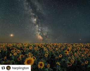 Image post by @candmclub on Instagram