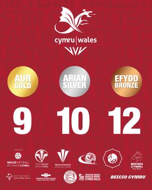 Image post by @team_wales on Instagram