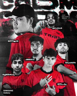 Image post by @tribegaming on Instagram