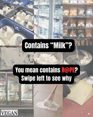 Image post by @thebodybuildingvegan on Instagram