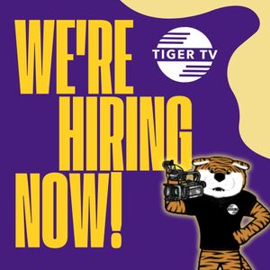 Image post by @lsutigertv on Instagram