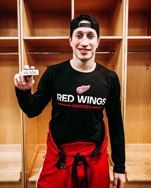Image post by @theahl on Instagram