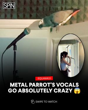 Image post by @spinmag on Instagram