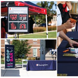 Image post by @bearcatsverified on Instagram