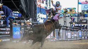 Video post by @pbr on YouTube