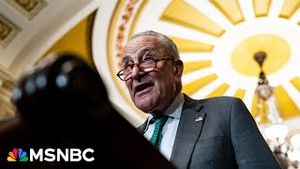 Video post by @msnbc on YouTube