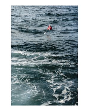 Image post by @bluetent.media on Instagram