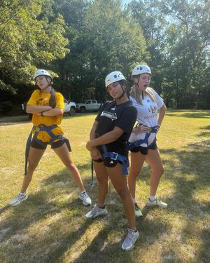 Image post by @ulm_vb on Instagram