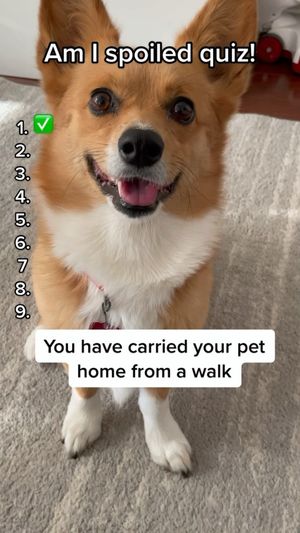 Video post by @aircorg on Instagram