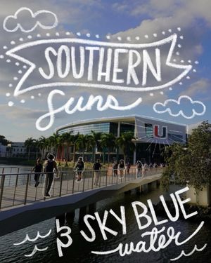 Image post by @univmiami on Instagram