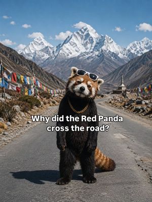 Image post by @redpandavx on Instagram