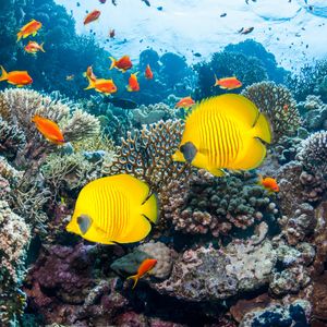 Image post by @discovery on Instagram