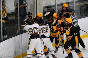 Image post by @lbsuhockey on Instagram