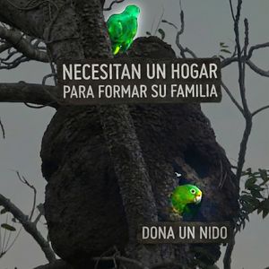 Image post by @fundacionloros on Instagram