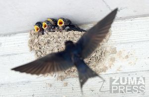 Image post by @zumapress on Instagram