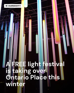 Image post by @curiocitytoronto on Instagram