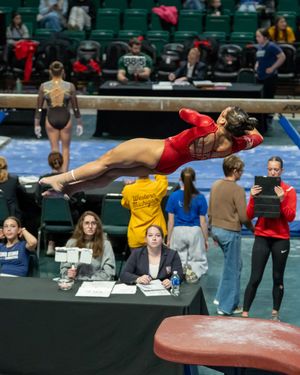 Image post by @redbirdgymnastics on Instagram