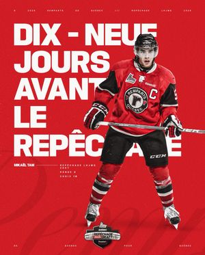 Image post by @quebec_remparts on Instagram