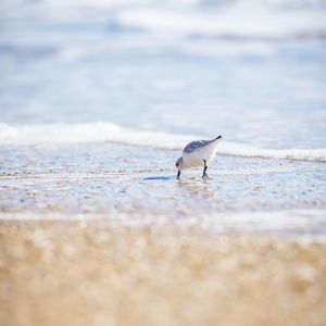 Image post by @ploegerphotography on Instagram