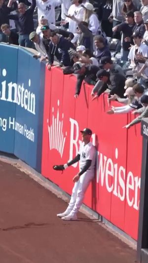 Video post by @mlb on Facebook